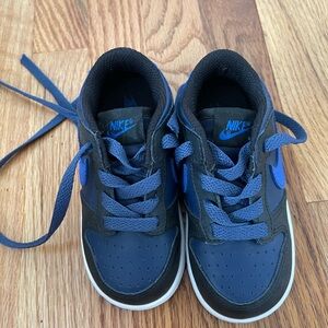 Toddler Nike Dunks